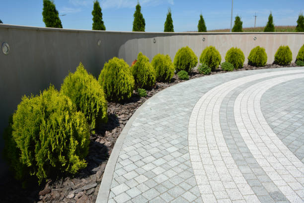 Best Decorative Driveway Pavers  in Travilah, MD